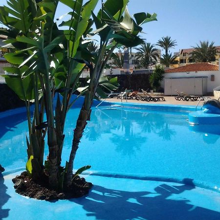 Paraiso Royal Dany & Pina Playa de las Américas Eksteriør billede